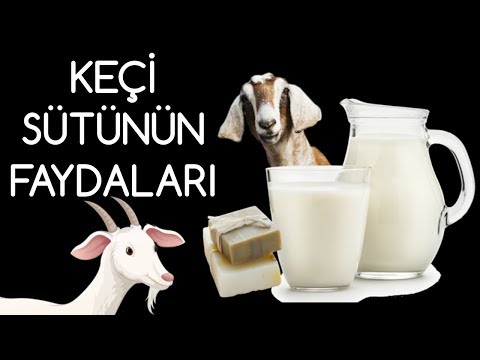 KEÇİ SÜTÜNÜN FAYDALARI