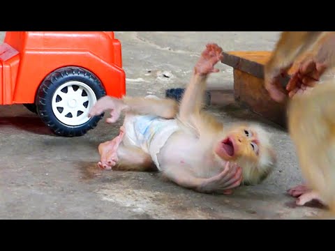 Moly Learn To Jump From Truck & FaillDown