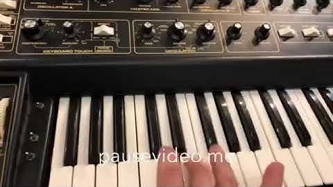 Multimoog MOOG Synthesizer - Melody
