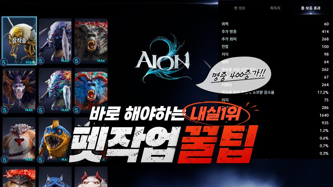 검성 펫작업 1위 유튜버의 꿀팁 대방출