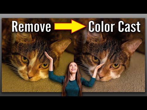The EASIEST & FASTEST way to REMOVE a COLOR CAST in LIGHTROOM