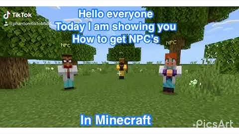 How to get NPC in Minecraft (No Mods)