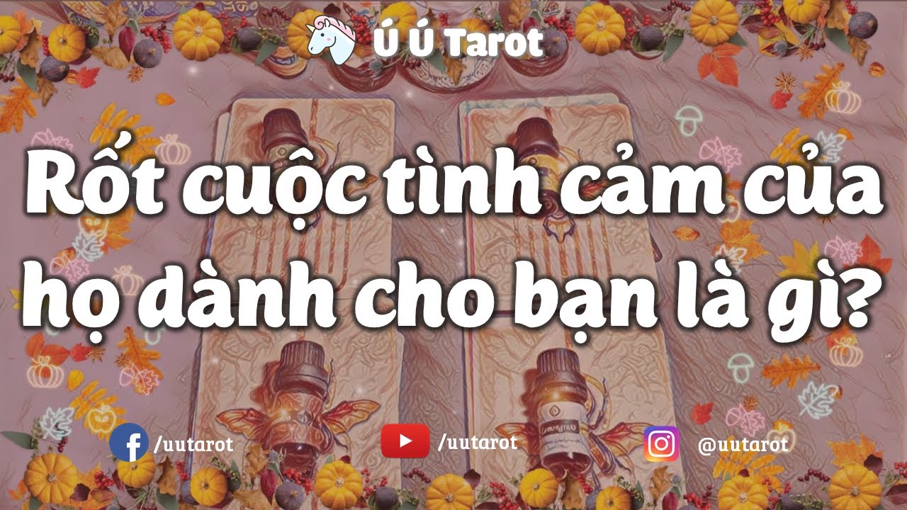 💗🍓💌Chọn 1 tụ bài Tình yêu - Rốt cuộc tình cảm của họ đối với bạn là gì? Ú Ú Tarot