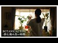 【植物のある暮らし】まさかの贈り物…。私が好きな朝の時間｜観葉植物のお世話｜花束を飾る