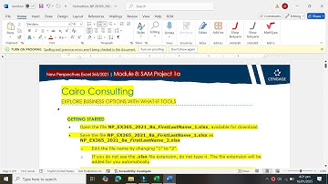 New Perspectives Excel 3652021 Module 8 SAM Project 1a | Cairo Consulting | NP_EX365_2021_8a