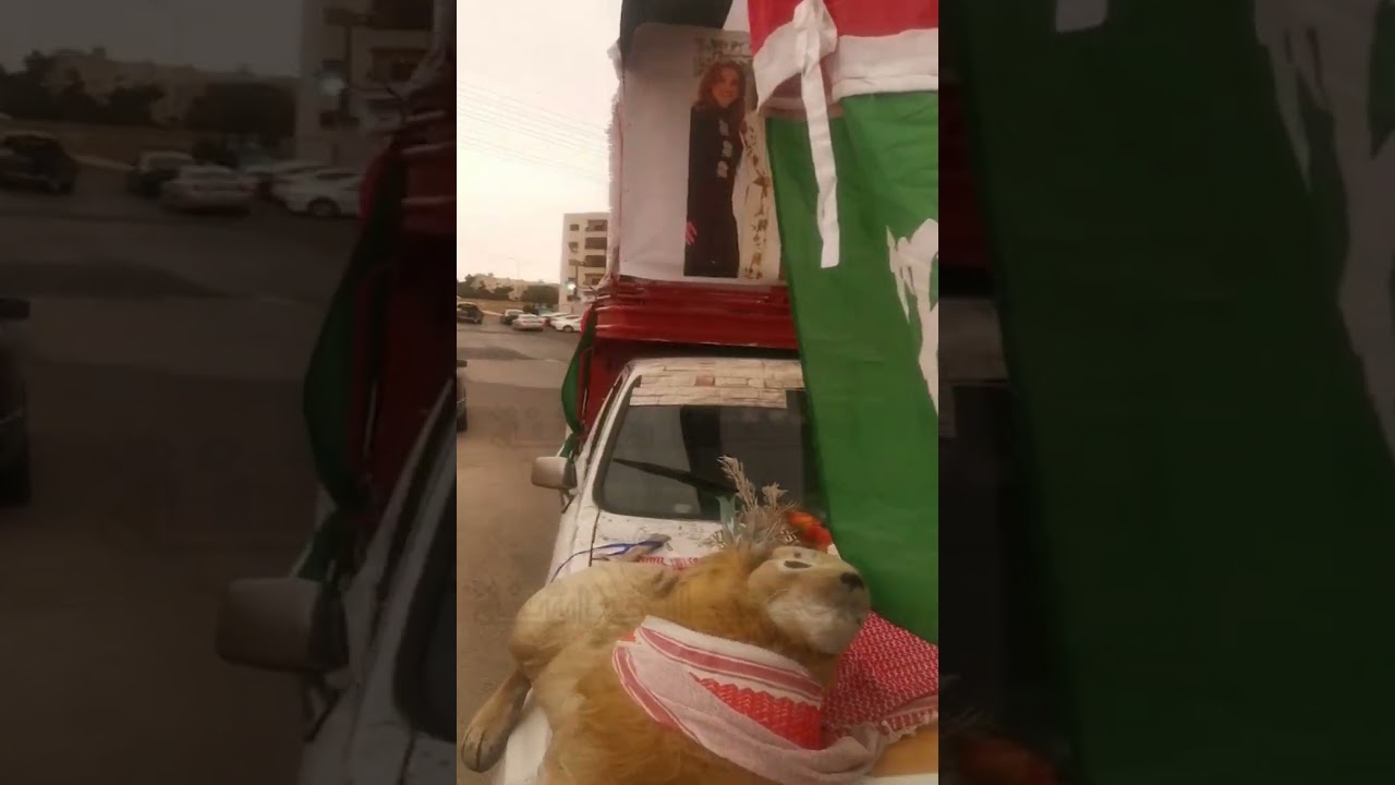 صاحب البكم: ركبت عامود ومالت السيارة وقلت نهايتي نهاية رجل شجاع.