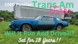 1980 Trans Am Turbo Revival! Will it Run and Drive After 18 Years?
