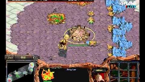 MSL Ro4 Jaedong vs Hydra Set 2