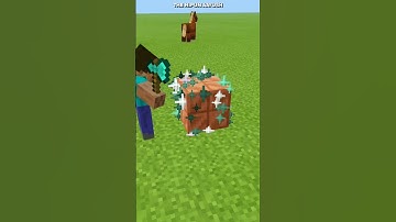 Awesome Facts About MINECRAFT, You might not know 🤯 #shorts #thenipunaayush