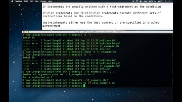 if statements in shell scripts