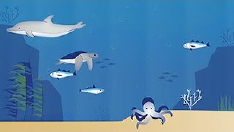 Nature-Based Solutions for healthy future marine ecosystems - FutureMARES project