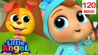 Where is Bingo? (Peekaboo) 🫣 Bingo and Baby John | 2 HOURS Of Little Angel Kids Songs