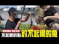 【搞野系列】詭異釣餌瘋狂爆咬！？自製鳳梨豆醬煮魚超好吃！｜搞野Ep.9｜黑公｜九班的日常生活｜#釣魚#野味#鹹水吳郭魚#黑公#fishing#釣り#어업