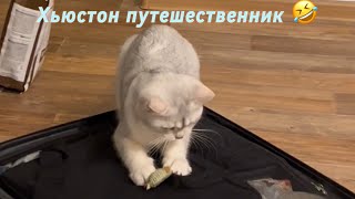 Хьюстон! Куда Собрался?🤣😂😹😅