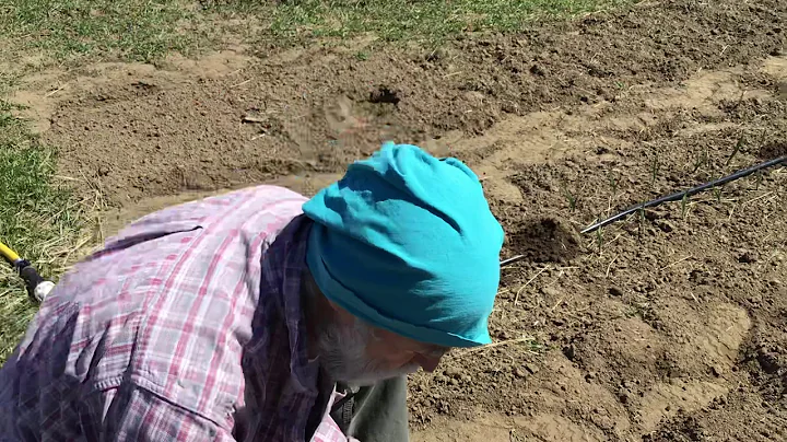 Gardening with George