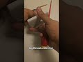 How to install an LED Mirror/light of a ring Curcuit