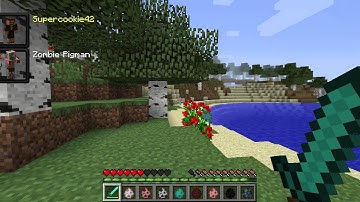 Morph Mod! - Minecraft Mod Review