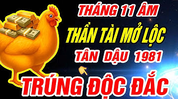 Thần tài mở lộc Tuổi TÂN DẬU 1981 NHẬN VẬN MAY CỰC ĐỎ CỰC GIÀU đúng Tháng 11 âm lịch 2025