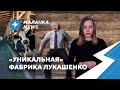 ⚡️КГБ хочет ликвидировать Латушко / Школы обнесут железным забором / Ночь расстрелянных поэтов