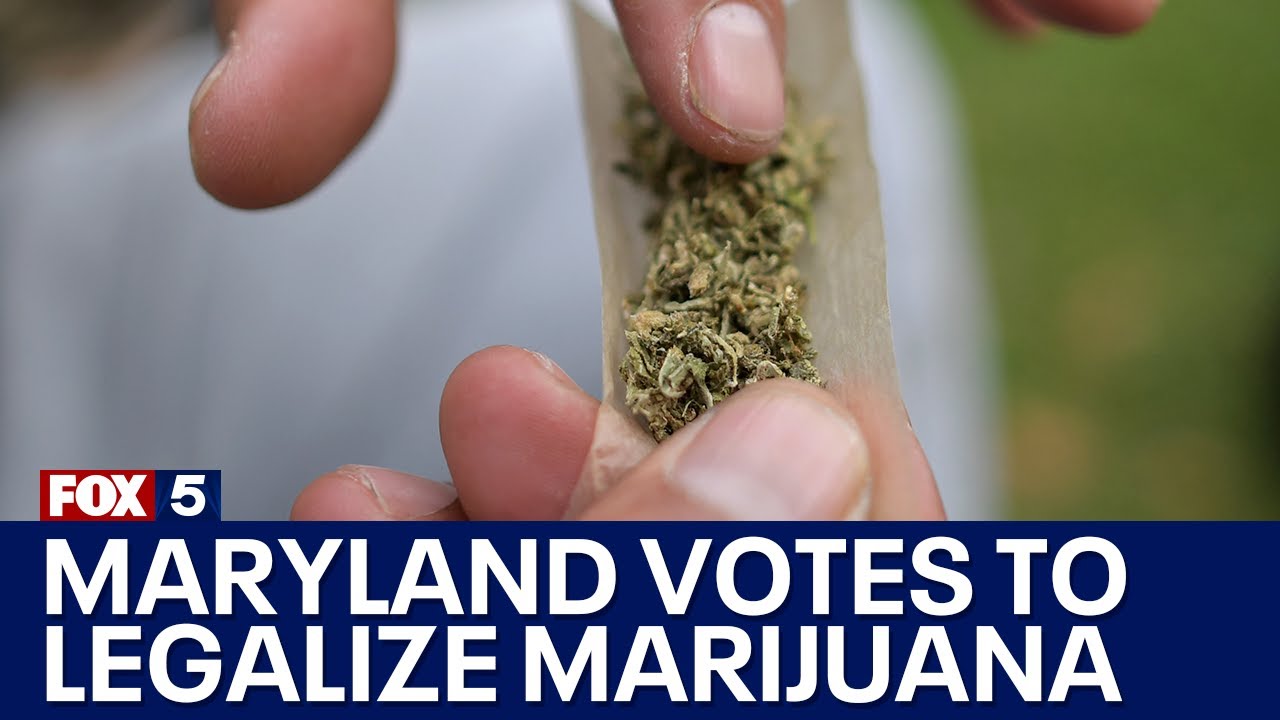 Maryland votes to legalize recreational marijuana | FOX 5 DC