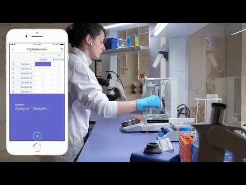The Lab of