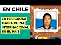 Mafia China en Chile: La peligrosa banda narco internacional que llegó al país