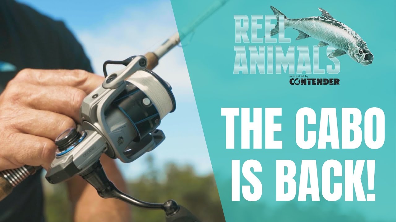 enclosed fishing reel Closed 2.6:1 Ratio Mini Closed Face Spin Cast Reel with Fishing Lines for Fly Fishing Baitcasting Fishing Freshwate Saltwater Fishing reels are equipped RETRIEVE:LH filter-creature-baits Daiwa Revros LT Spinning