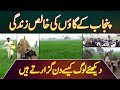 Punjab ke village ki pure life  village life in punjab pakistan