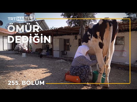 Ömür Dediğin 255. Bölüm