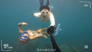 FunDive|Fun Style