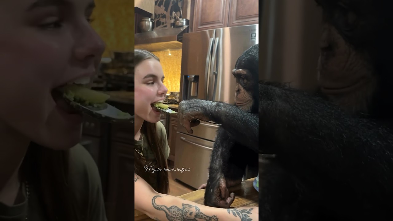 Tara always insist on feeding me😆🩷☮️