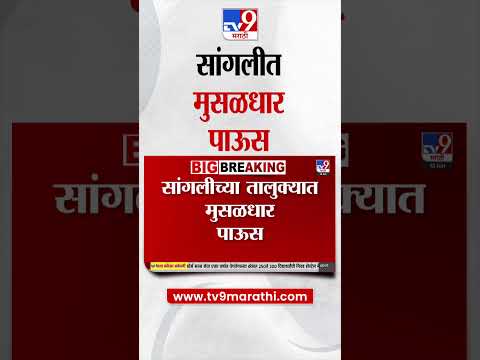 Sangli त ल त सग वच क प र ओढ ओस ड न व ह ल गल Rain News