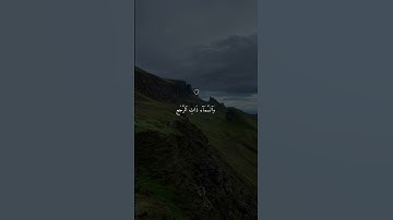 تلاوة خاشعة بصوت🎧 أكثر من رائع
