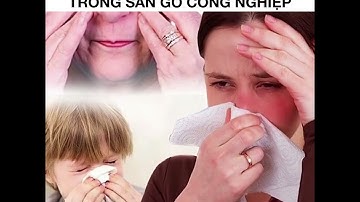 Cẩn trọng với chất gây ung thư formaldehyde có trong sàn gỗ công nghiệp | Sàn Nhà Mình