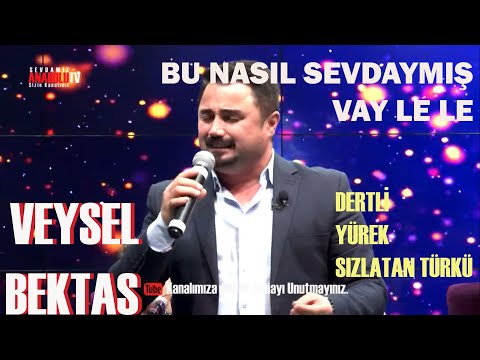 Bu Nasıl Sevdaymış Vay Le Le l Veysel Bektaş /  Yürek Yakan Türküler @veyselbektas