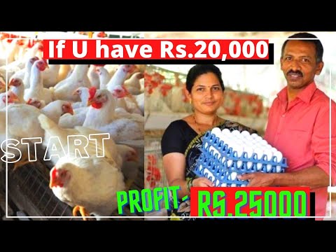 broiler chicken farming business plan in tamil nadu