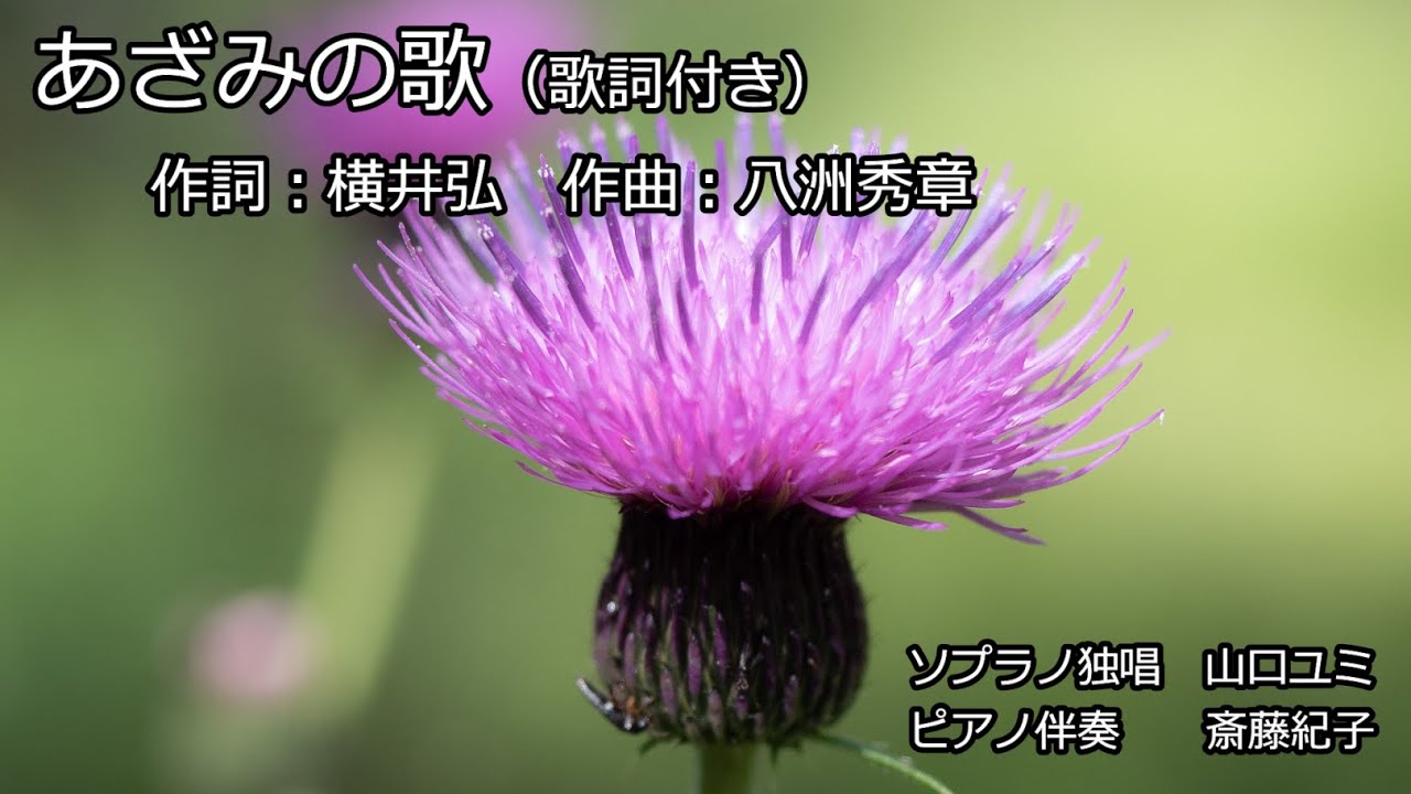 あざみの歌（歌詞付き） ソプラノ独唱 山口ユミ - YouTube