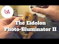 The Eidolon Photo Bluminator II and Some Fur Babies