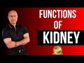 Functions of kidneys  physiology and structure  dr najeeb