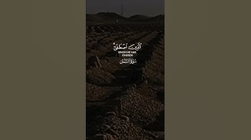 #تلاوة_خاشعة  آيات من كتاب الله راحة لقلبك وسمعك #القرآن_الكريم #اكسبلور #الرحمن #راحة_نفسية #دويتو