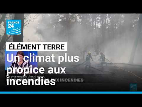Un climat de plus en plus propice aux feux de forêt • FRANCE 24