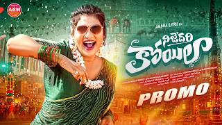 Nijedari Koilaa Promo  New Folk Song 2026  Janu Lyri  Aadhya Reddy 