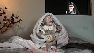 Lala's stubborn and mischievous attitude earned her a memorable lesson from Mom!