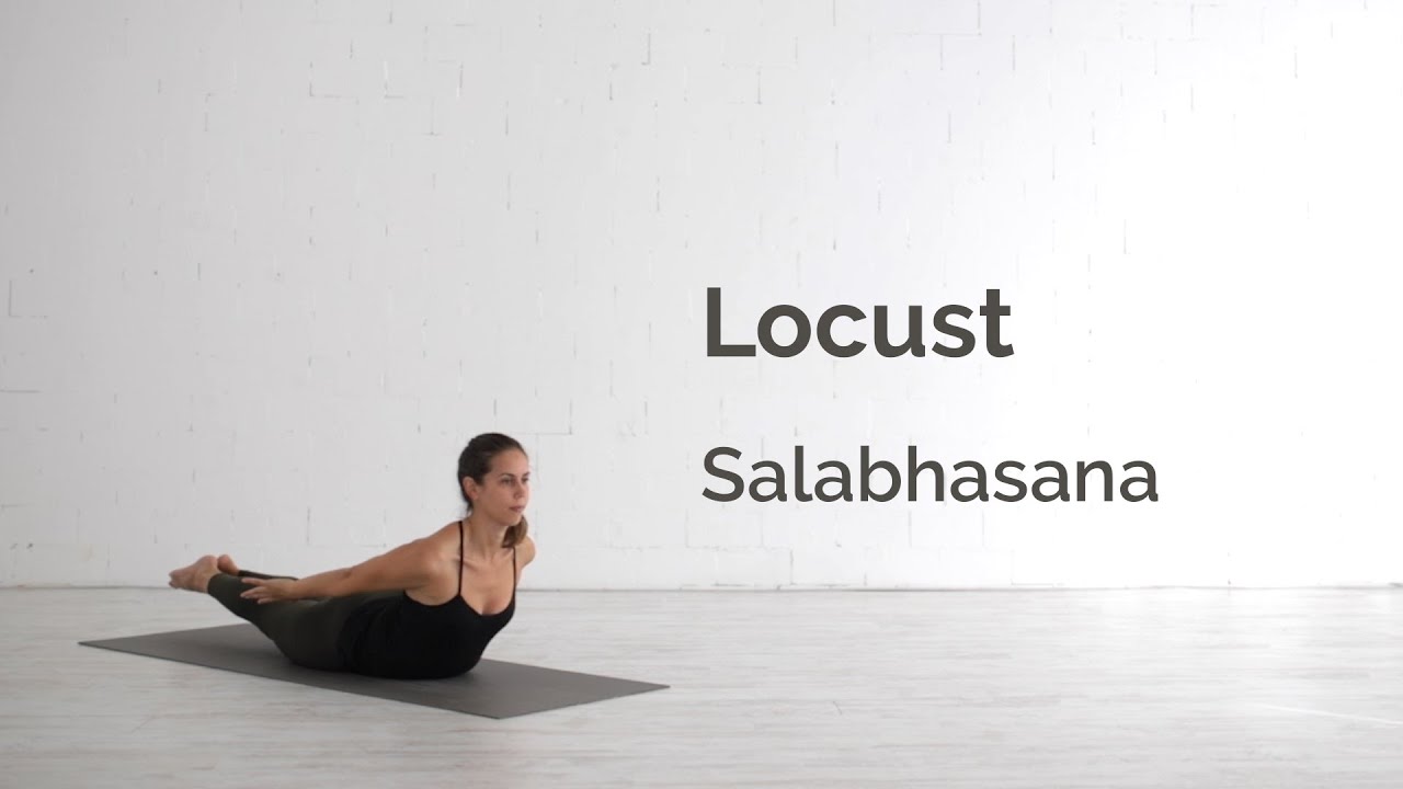 What are the benefits of Shalabhasana or the locust pose? - Quora