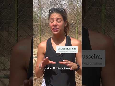 Burkina Faso : Renaissance d’un sanctuaire animalier