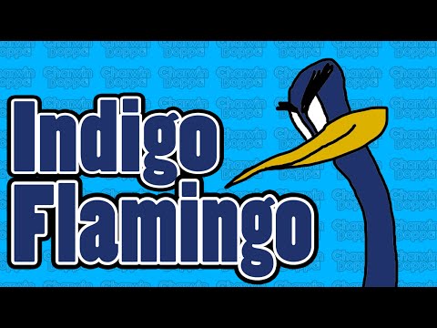 Charwin Doppa - Indigo Flamingo LIVE