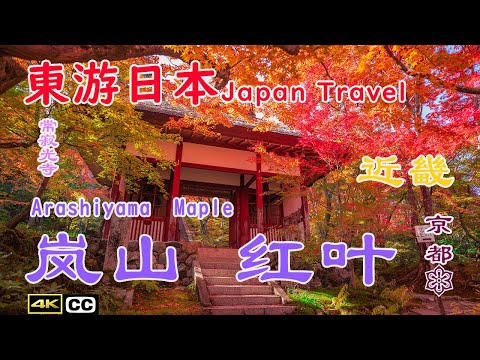 京都红叶季Kyoto Maple——日本一周自由行京都红叶季旅游岚山常寂光寺