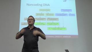 Famous 20190403 SUN Bioinformatics B Assembly Annotation Profile