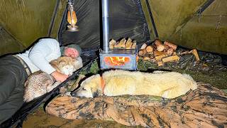 Hot Tent Camping in Heavy Snow with My Dogs! - Caught in Heavy Snowfall