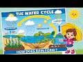 Understanding the Water Cycle